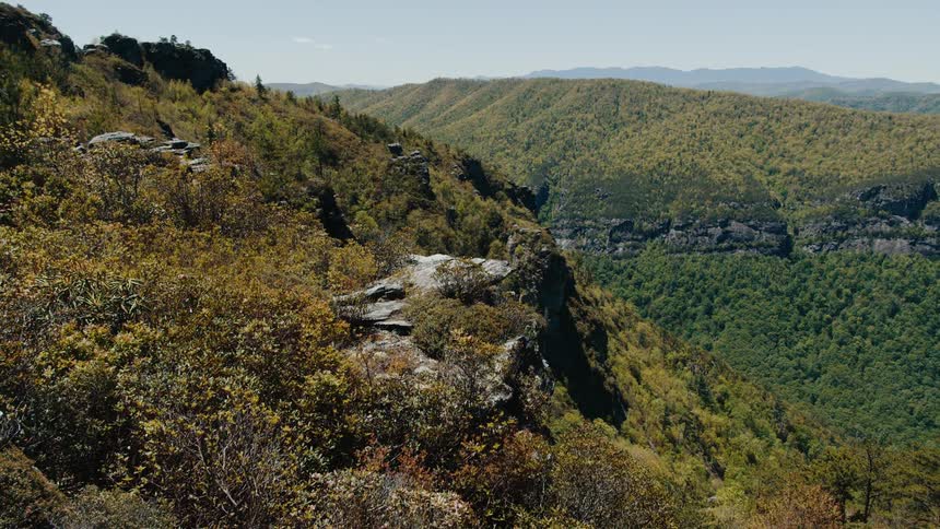 Mountains rise above a thick forest