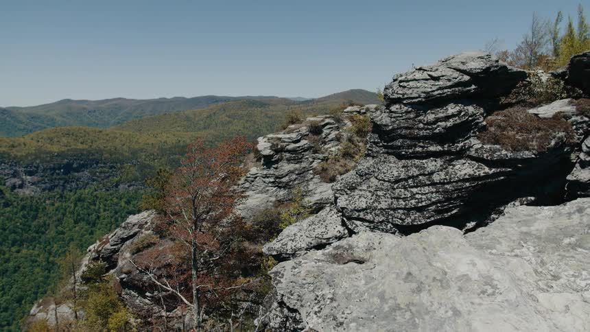 A tall mountain is by a vast forest