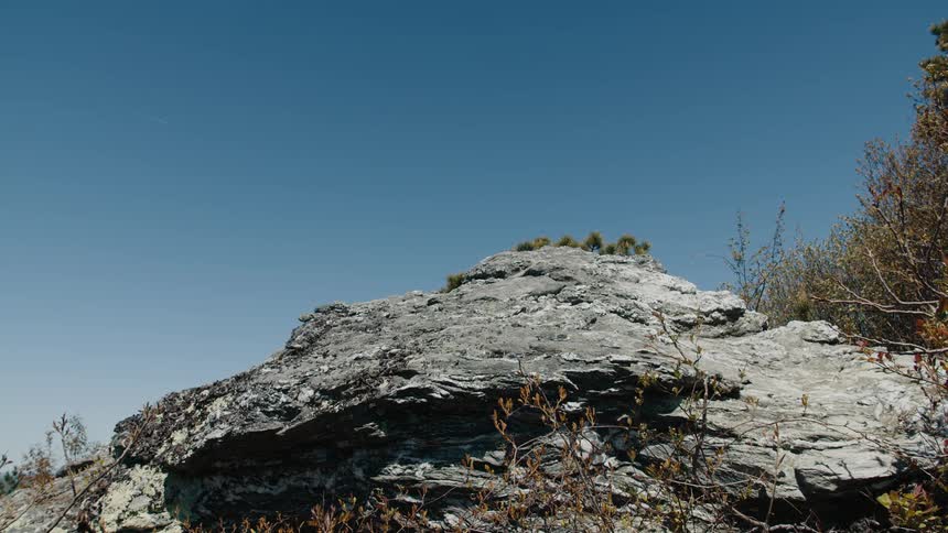 A large weathered gray rock formation with sparse vegetation on top and around it set against a clear bright blue sky