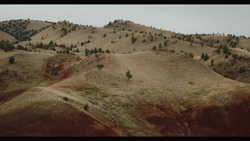 A landscape shot shows rolling hills covered in dry grass and scattered trees under an overcast sky