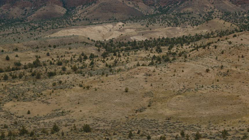 A vast arid landscape of rolling hills sparsely dotted with trees and shrubs showcasing the rugged beauty of a remote desert like terrain