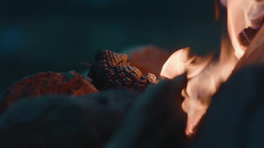 The campfire is burning at night