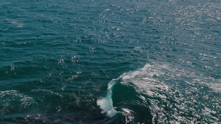Aerial of sea wave forming and crashing in the ocean