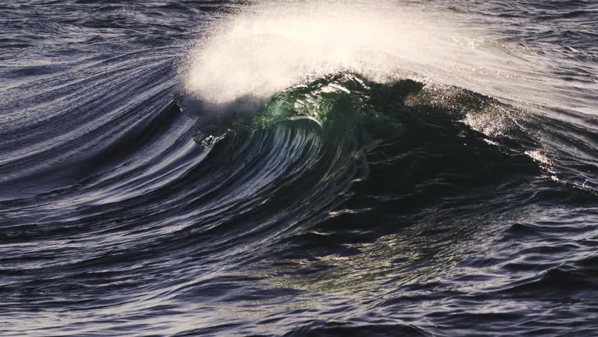 A large wave forms in the ocean