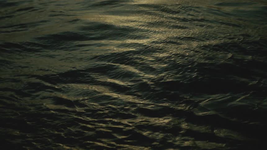 The dark textured surface of rippling water reflecting a dim overhead light source and creating a sense of subtle movement and depth