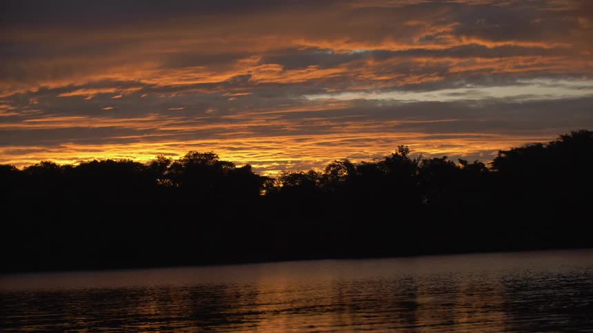 A vibrant orange and yellow sunset reflecting on calm water with the silhouette of trees along the horizon