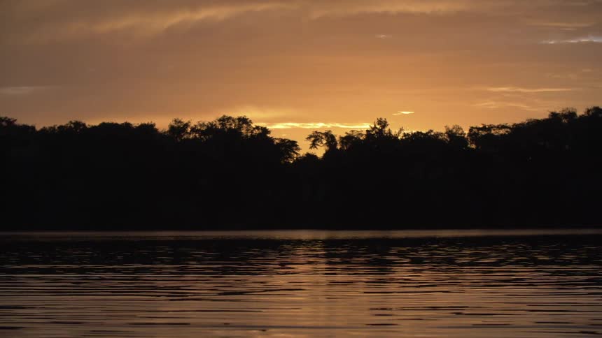 Golden hour stillness deep in the Amazon basin with dark silhouettes of trees lining the distant shore