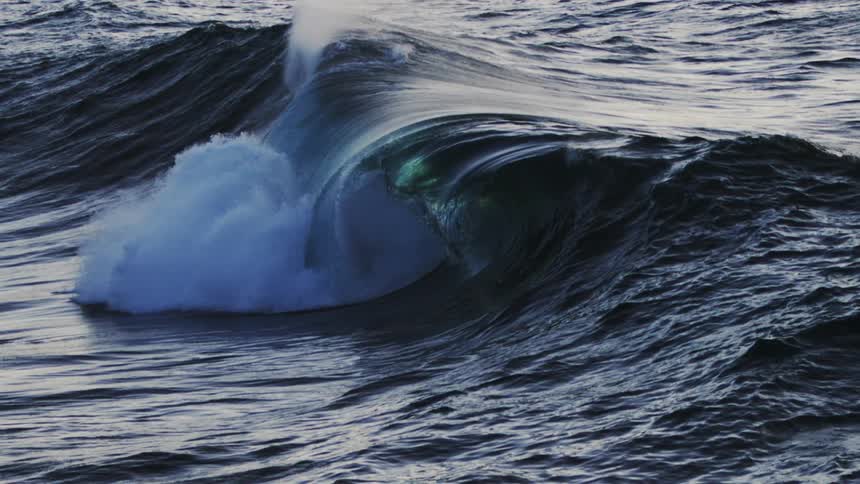 A large wave curls and breaks in the deep blue ocean its white foam contrasting against the textured surface of the water