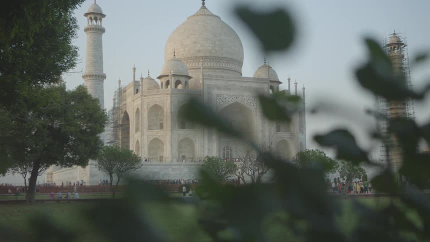 Taj Mahal emerges through garden foliage as sunlight glows on white marble dome