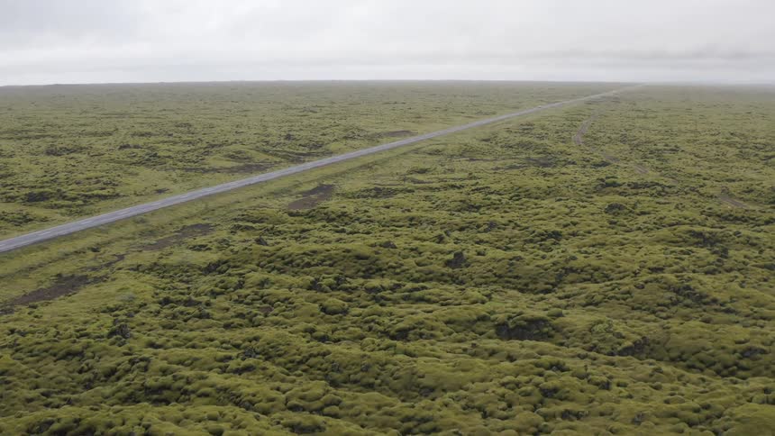 A long straight road goes through the forest