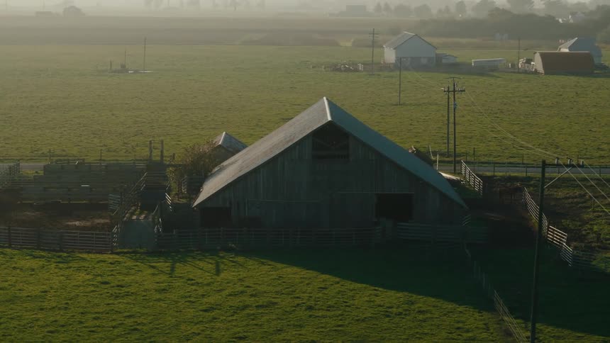 Power lines pass farm buildings in the rural countryside on a foggy summer day