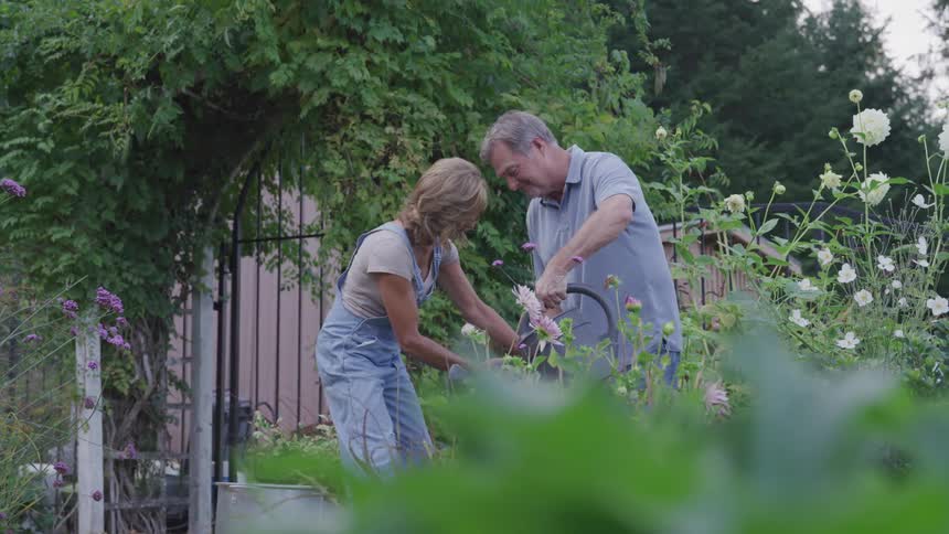 A couple watering and tending plants on a lush garden