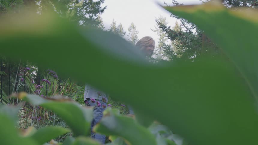 A couple tending to plants with purple flowers in a garden