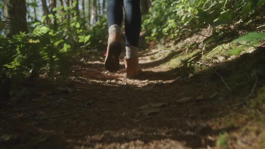 A footage of a lady walking the bushy path