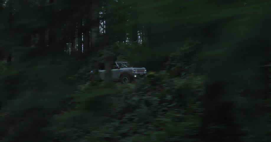 A lightcolored vehicle navigates a shadowy densely wooded area on a sloping terrain