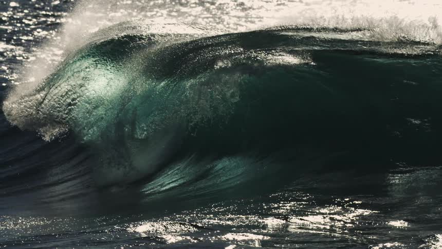 A dark powerful wave its peak touched with white spray rises against a sunlit sparkling ocean surface