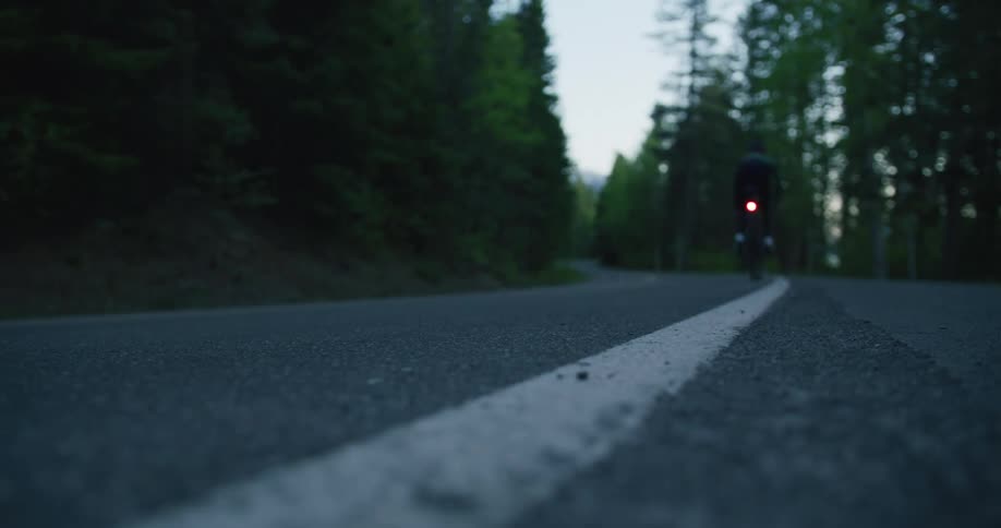 A woman rides a bike on the road by the forest