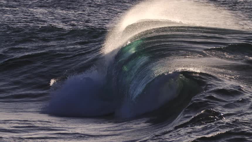 A dark wave curls in the ocean its surface reflecting sunlight