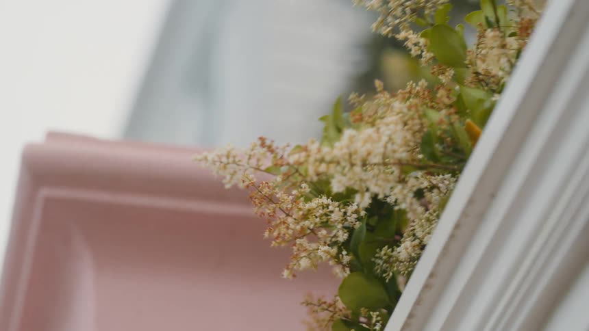 Wind is blowing the flowers near the home