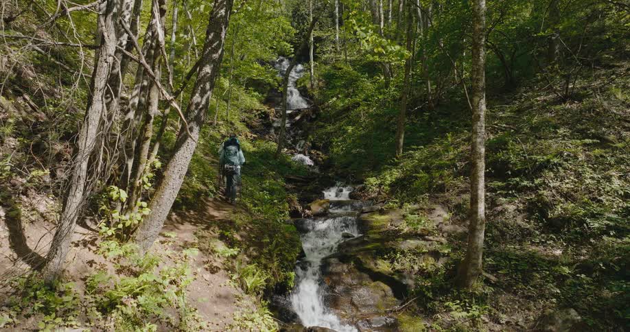 Hikers hiking on a narrow trail in the hills alongside a rapid moving creek