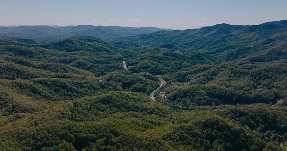 An aerial footage of a forest area