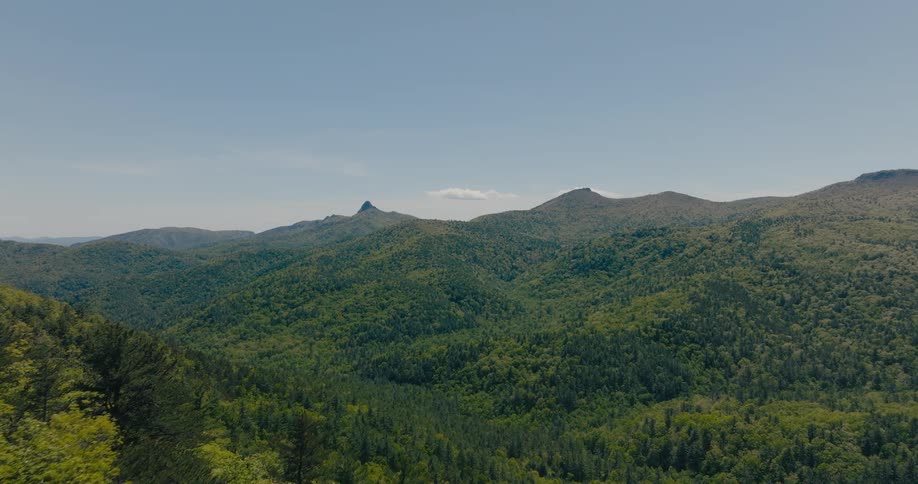 A vast expanse of rolling hills covered in lush green forest with a clear blue sky above