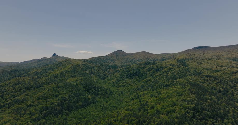 A thick forest covers the mountain range