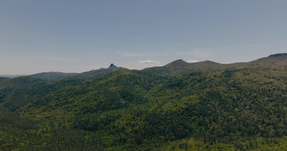 The mountains are covered with trees