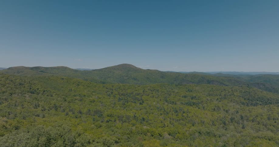 A vast landscape of rolling hills covered in lush green forest under a clear blue sky