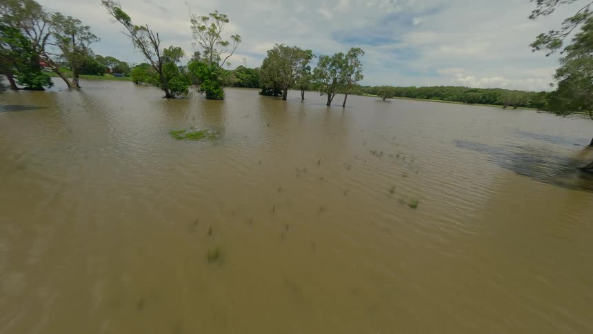 Drone Reveal of Flooded Forest in Australia