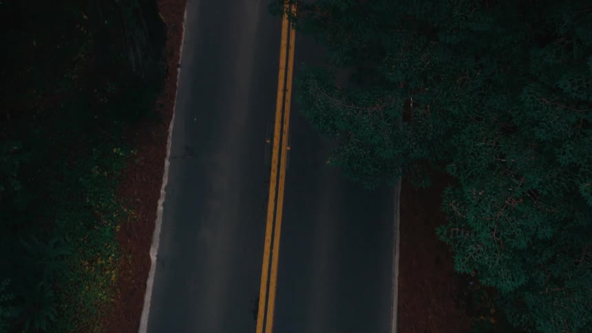 An asphalt road winding through a dark dense forest the roads yellow lines guiding the eye towards the vanishing point in the distance
