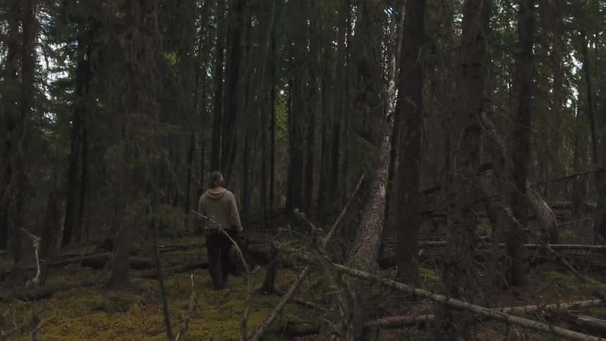 A man walks away from the viewer into a dense dark forest where tall evergreen trees create a sense of depth and mystery