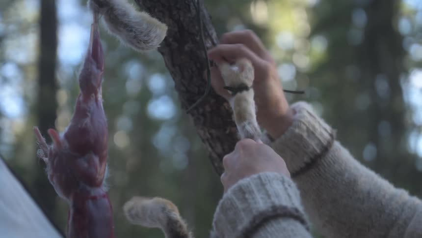 A footage of a person untying a prey