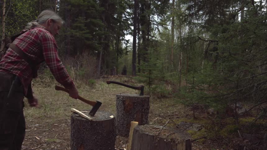 Man splitting wood on a tree stump with an axe in the wilderness