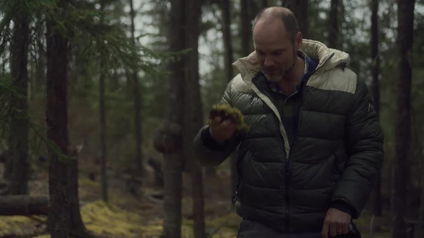 A footage of a man in the woods