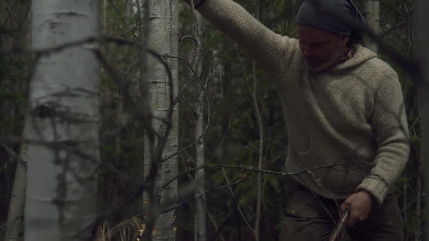 A man pushes on a tree in the forest