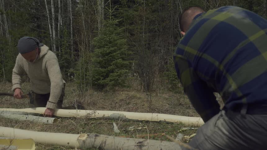 Two men peel bark from fallen thin trees in a forest clearing