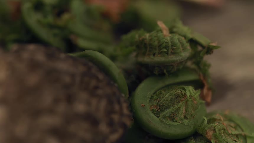 Fiddleheads on a table