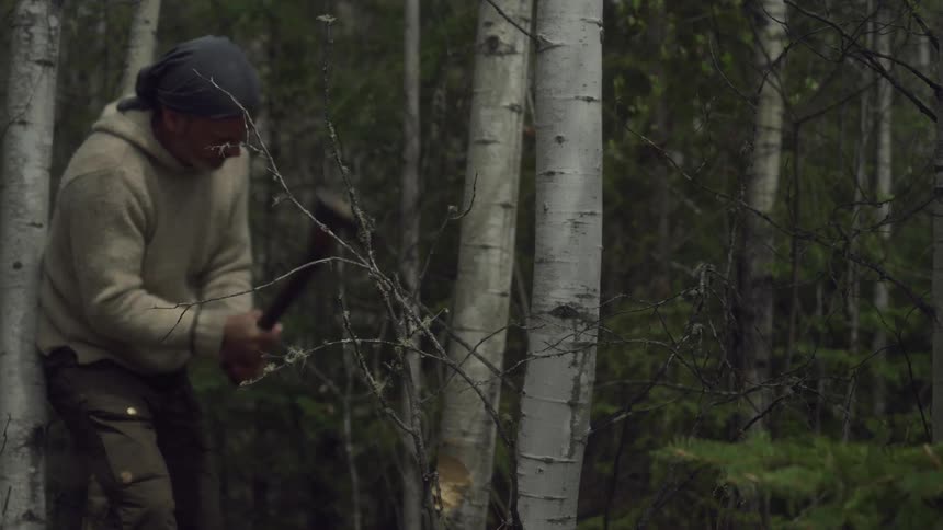 A man is chopping down a tree with an ax
