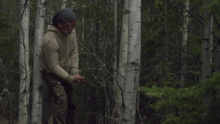 A man in a beanie and sweater chopping wood with an axe in a forest of slender trees