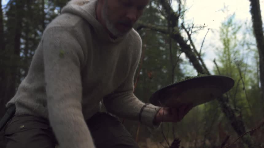 A closeup shows a man in a sweater and beanie picking herbs in a forest