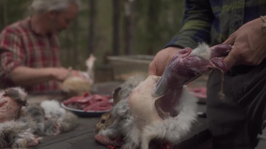 A footage of people skinning a meat