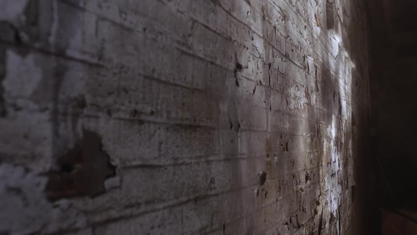 Shadow and sunlight highlight a brick wall with paint chipping off