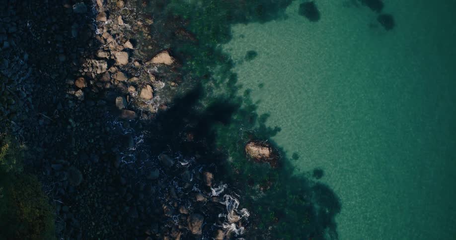 A rocky shoreline where the dark jagged rocks meet the clear turquoise waters of the ocean with the edge of a lush green forest visible on the left