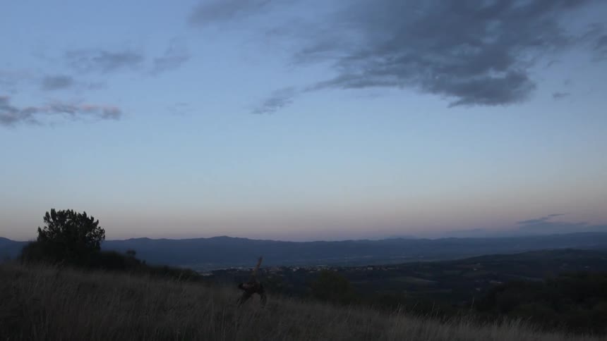 Barren wilderness with mountains in the background