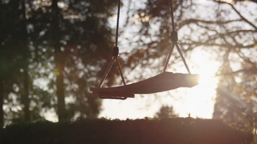 A swing set hangs silhouetted against the setting sun which peeks through the trees in the background casting a warm glow