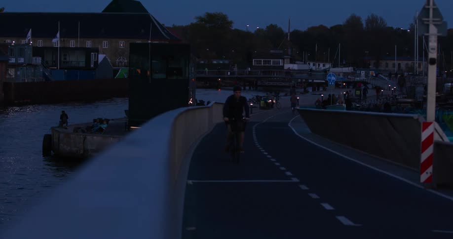 People walking and biking alongside the edge of a harbor containing boats