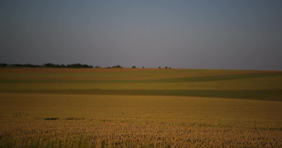 A large empty field is shown in a rural area with a car driving by