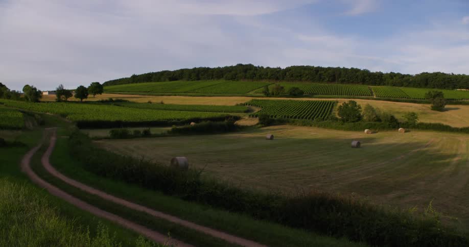 A footage of a farm land in a rural area