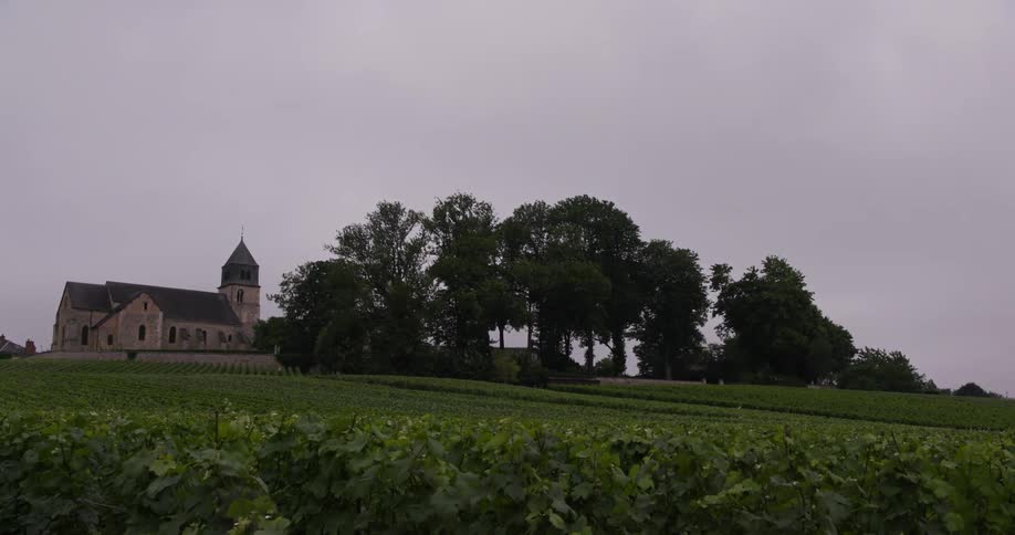 A brick building potentially a church sits to the left of a grove of leafy green trees in front of a verdant field of lush green grass underneath a grey cloudy sky